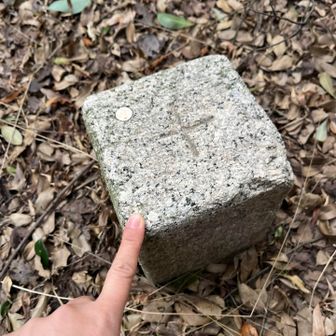 ねこは  三角点ハンターの  やくめを  はたした