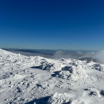 来て良かった、
