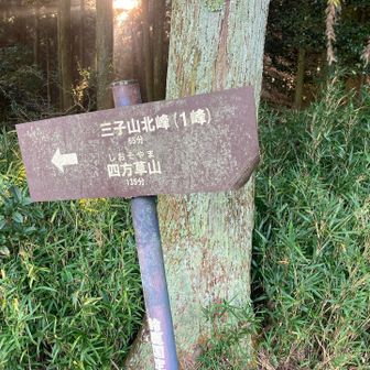三子山と四方草山へ⛰️