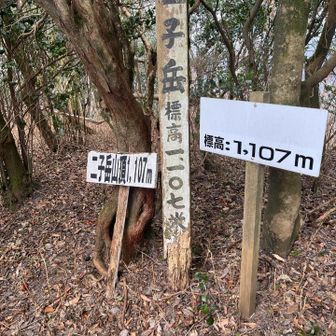 こちらも眺望なし！
この先にも行きたかったけど時間がないので戻ります