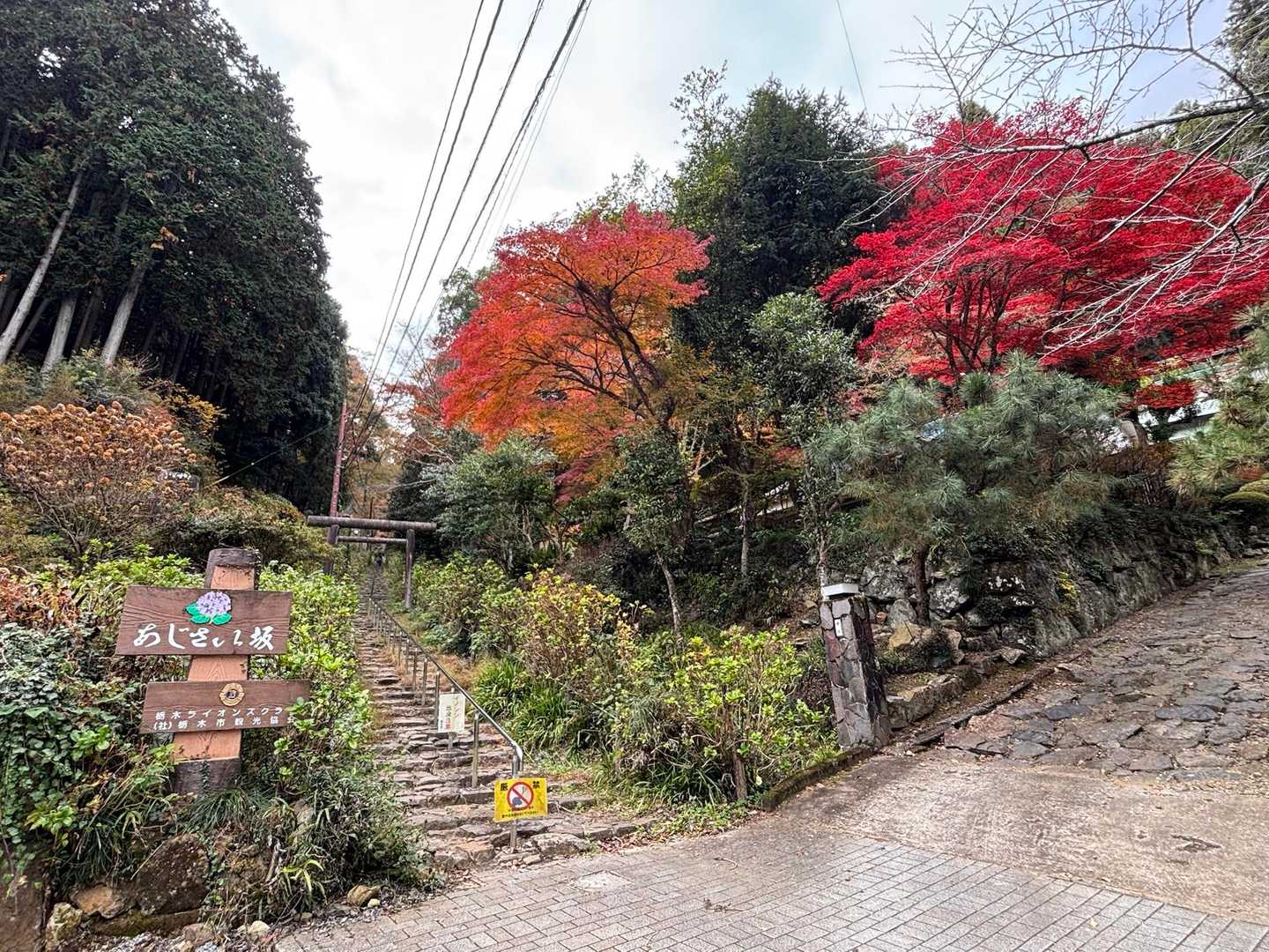 1ヶ月ぶりの太平山
すっかり秋模様になってました🍁