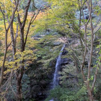 一の滝を見ながら渓流沿いから山道へ