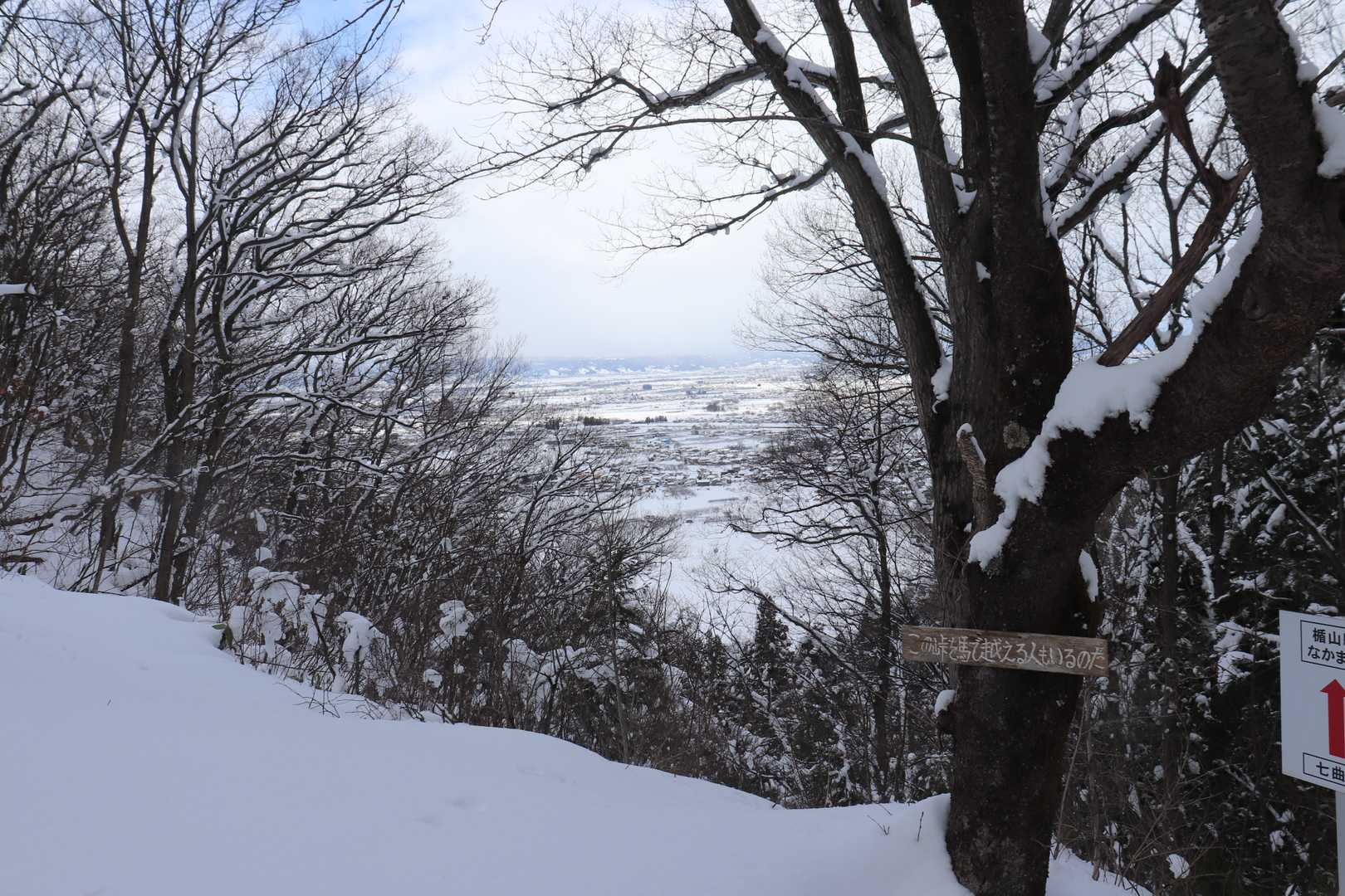七曲峠分岐から