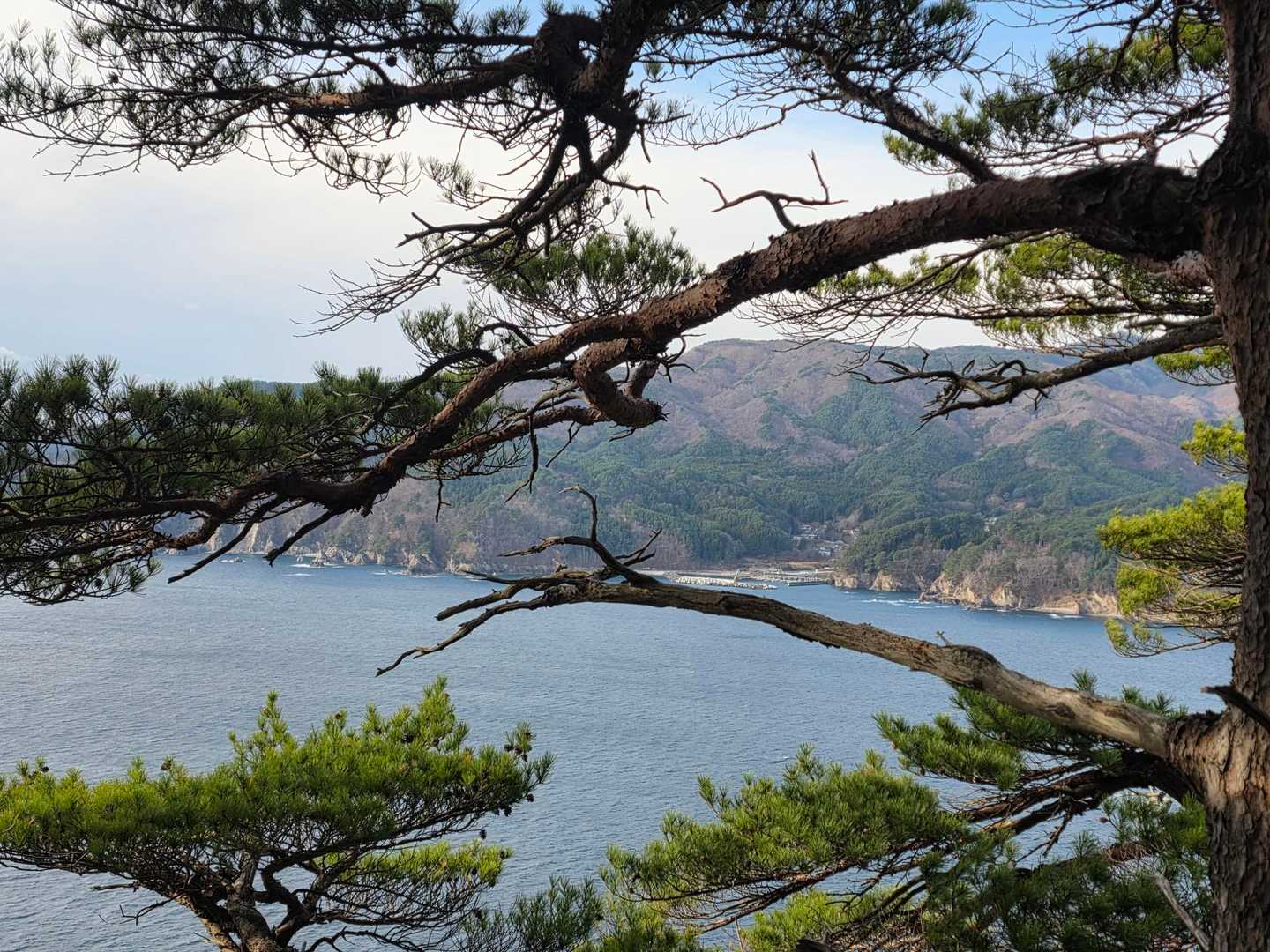 山田湾✨