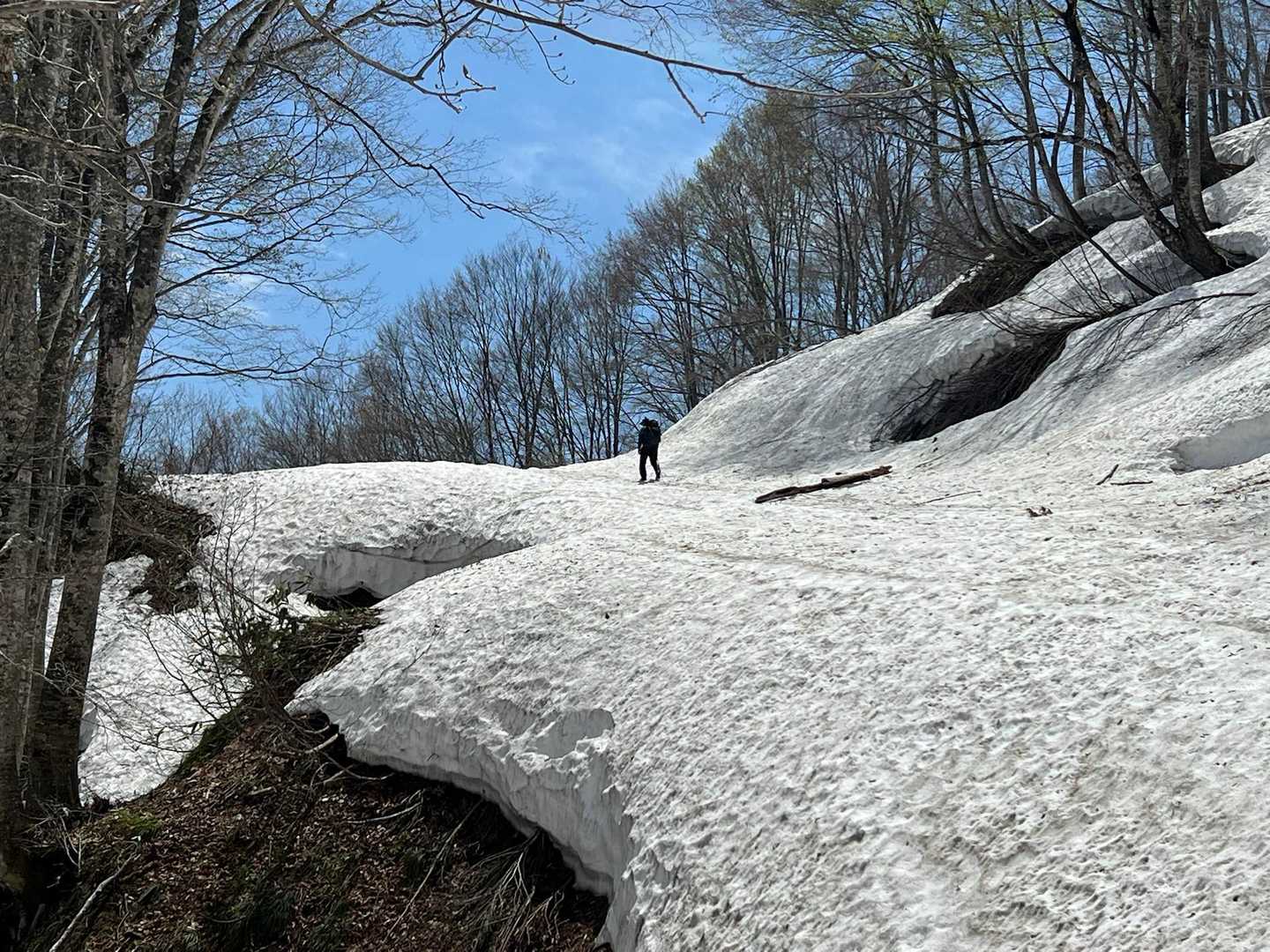 Wa〜o！スライド人あり！去年はこの道、雪なかったと。