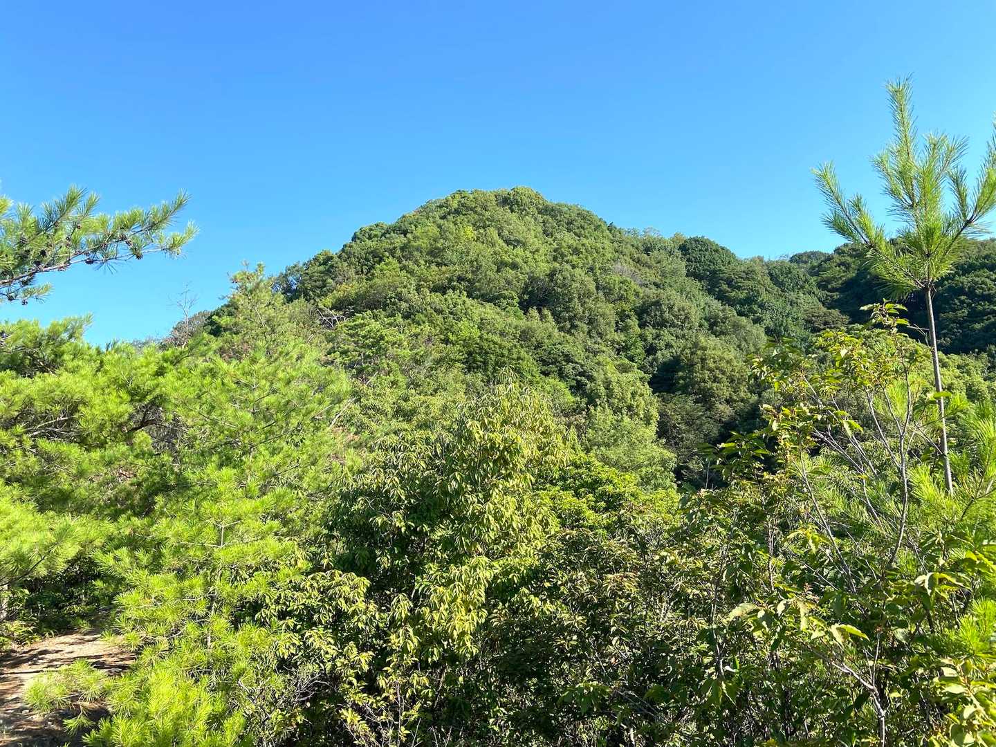 山根口登山口-尾長山-牛田山-神田山 縦走コースの写真