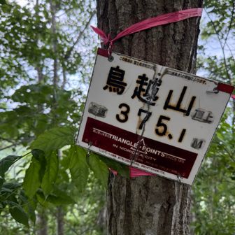 看板発見