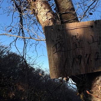 万二郎岳、万三郎岳、遠笠山で天城三山なんだって☺️