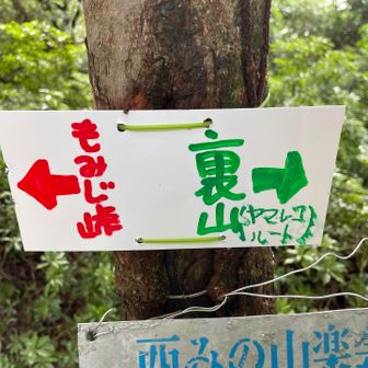 表山に到着。
看板が一部破損していたため、お父さんが交換してくれました✨