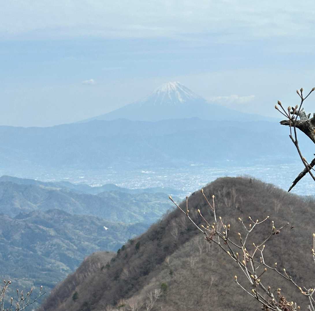 茅ヶ岳と富士山