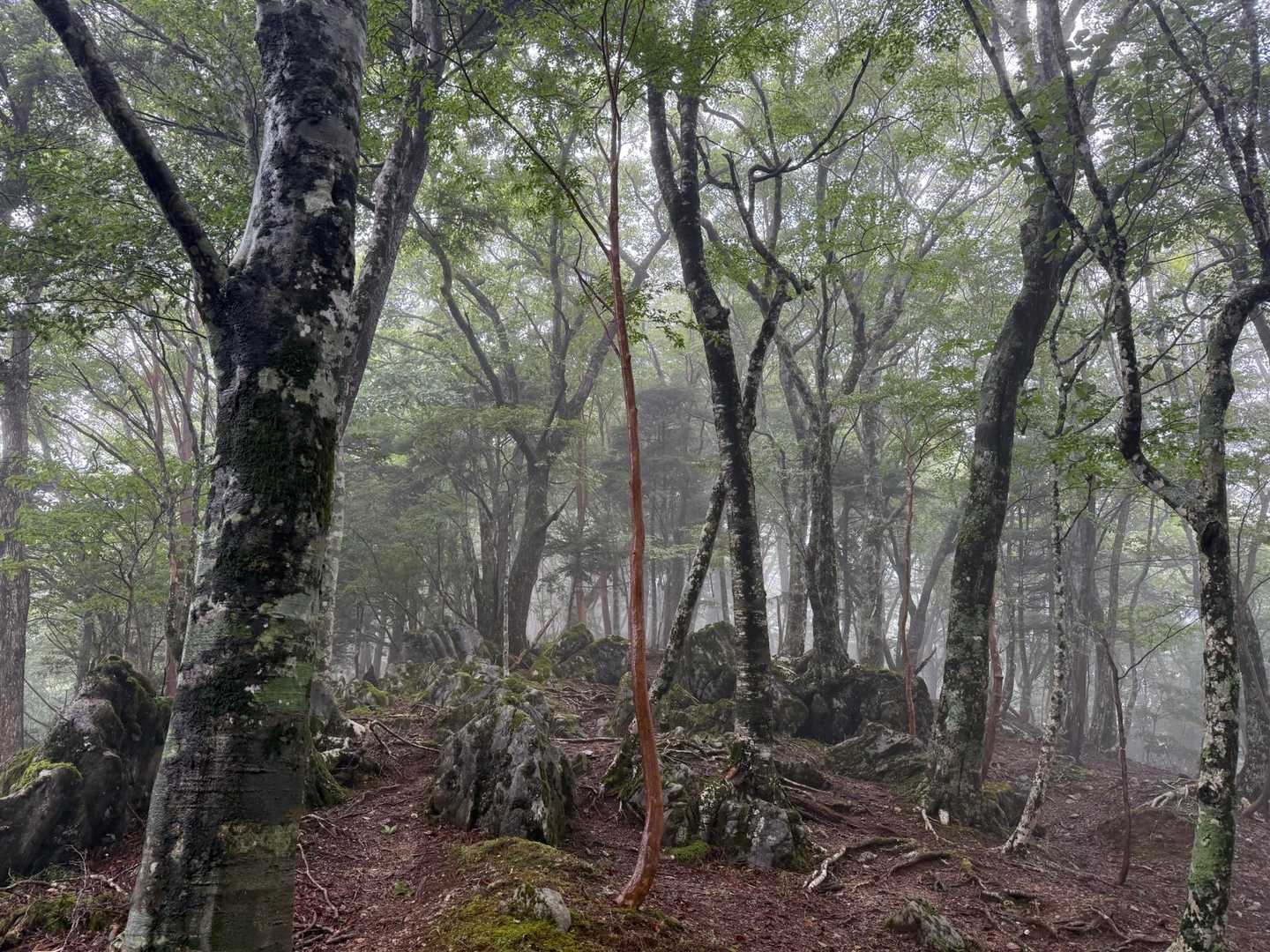 雨の中スタート