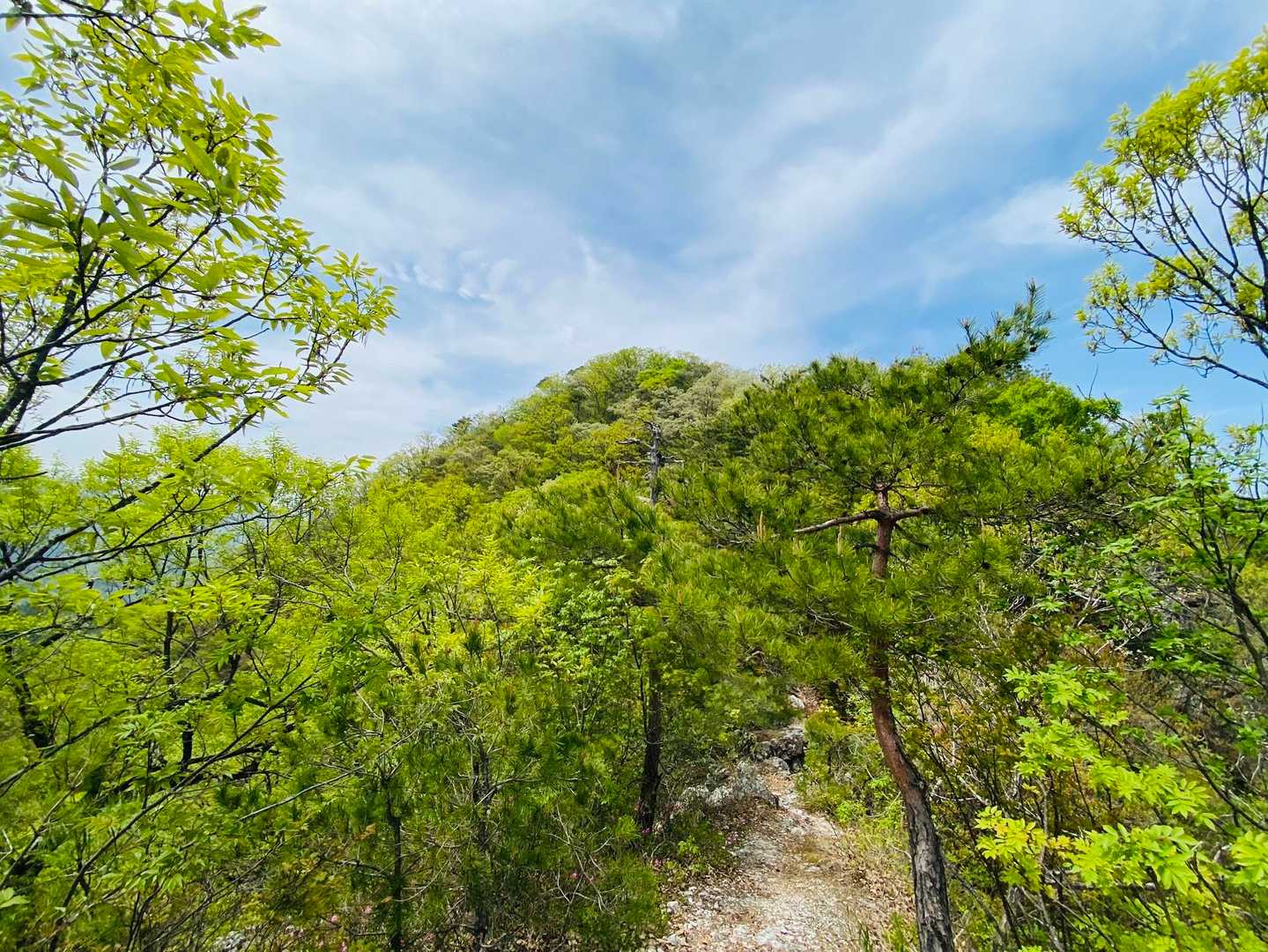 第二登山口-杣山 周回コースの写真