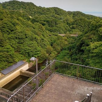 ３１０段下ります