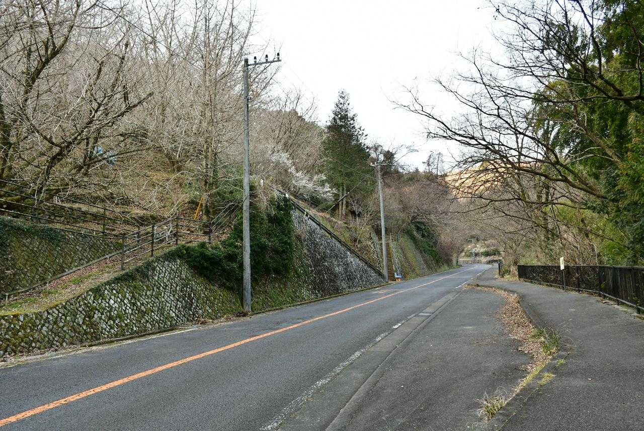 車道脇の歩道をひたすら登ります