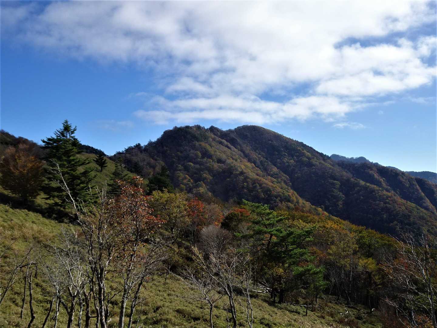 落合峠-落禿-前烏帽子山-寒峰 往復コースの写真