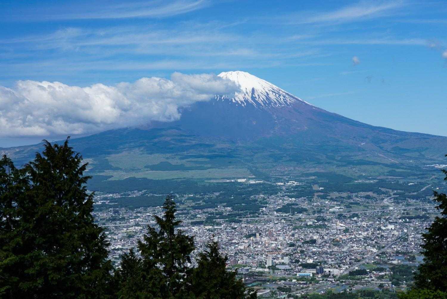 乙女駐車場-乙女峠-長尾山-金時山 往復コースの写真