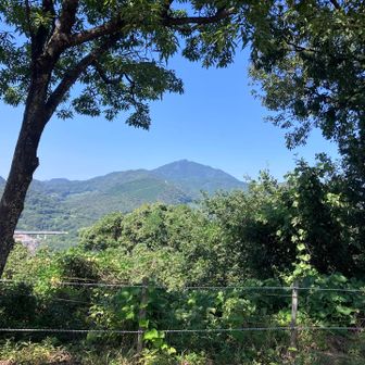 金峰山⛰️