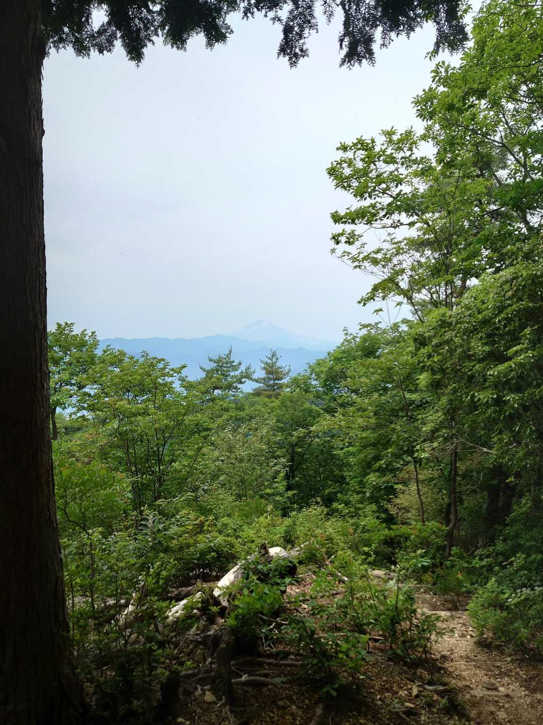 富士山は遠くにうっすら