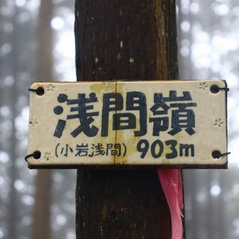 地味です。関東百名山です。