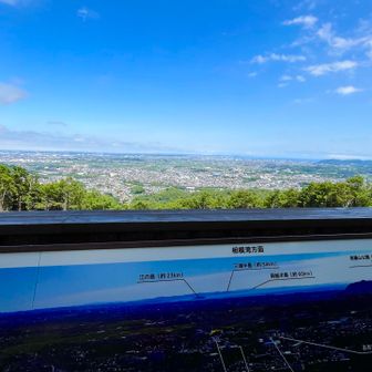 弘法山からの眺め
ここに傘忘れて本日2回登る事になる🚶‍♀️
小型犬に吠えられてめちゃビビる（犬恐怖症）