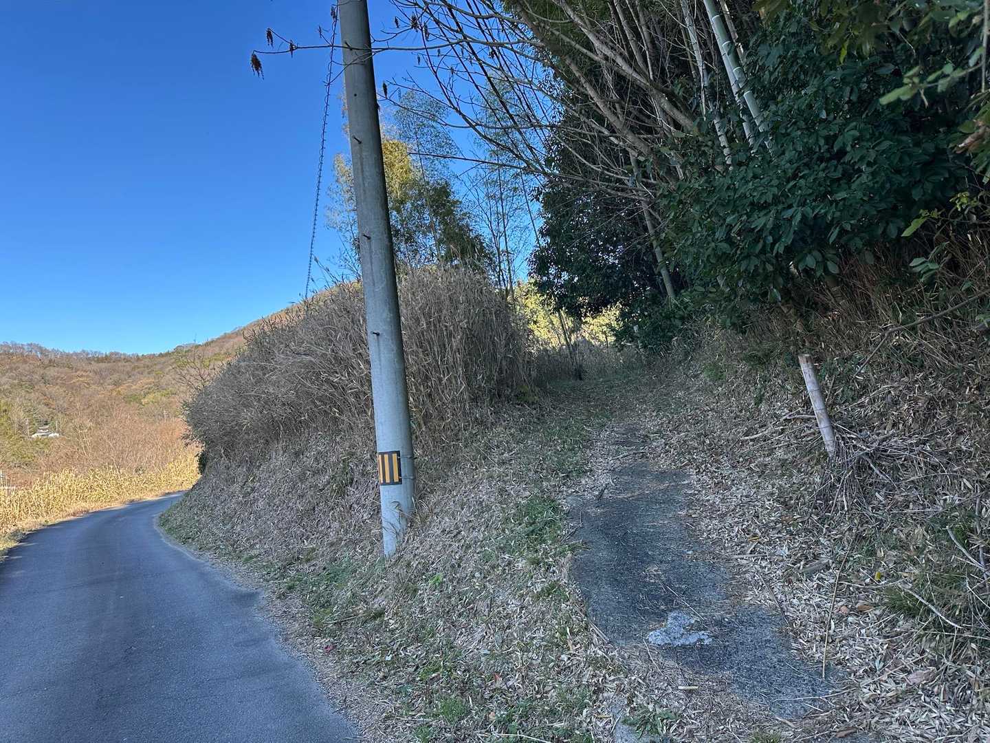 ここに出て来たけど、反対にここから登るとしたらとても分かりにくい登山口😂