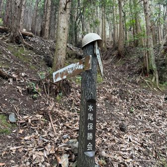 行き止まり？YAMAPではルートあったような。このルートから登ってきてた人を見たけど。よくわからん。