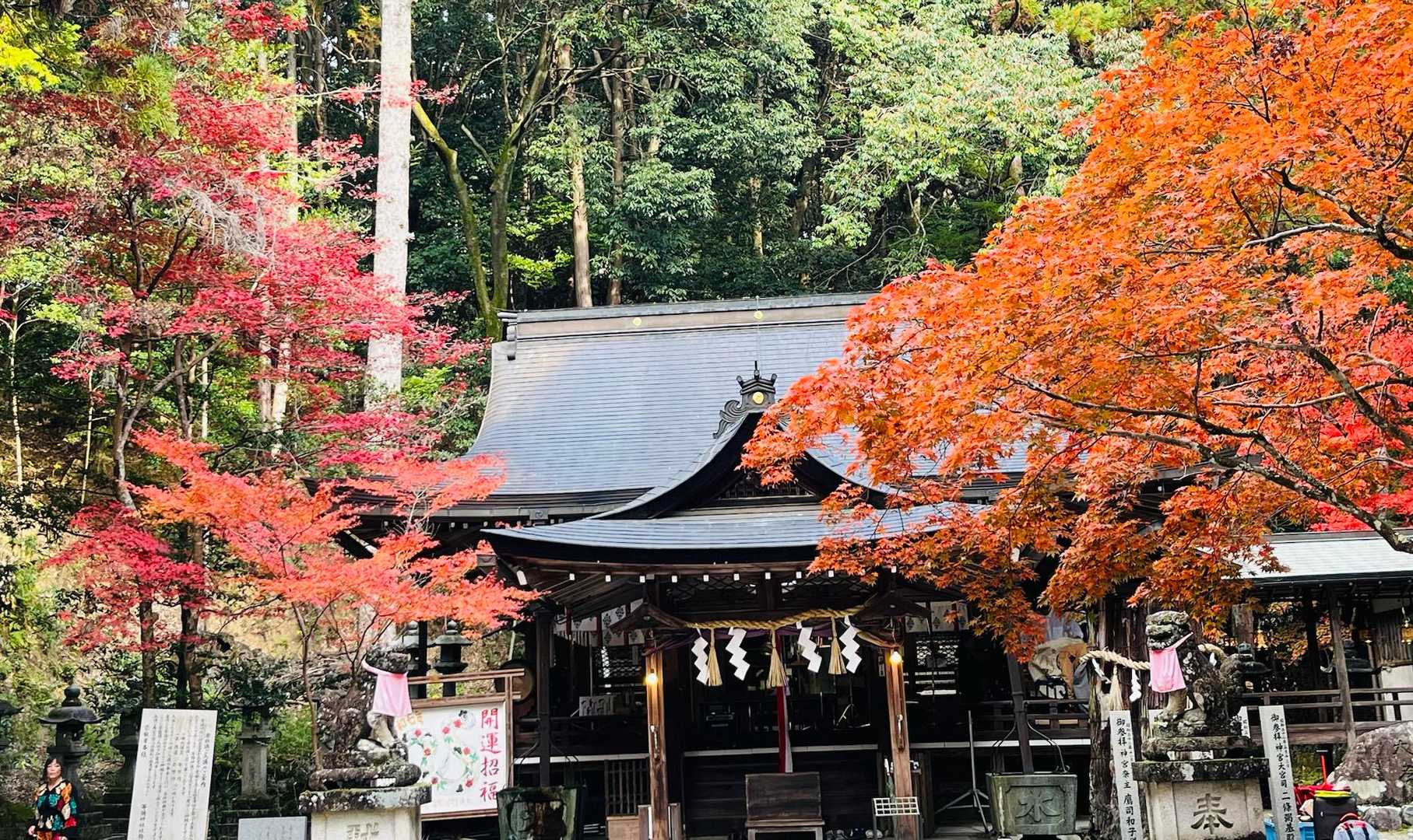 お参りしてから

この左側辺りに登山口有り