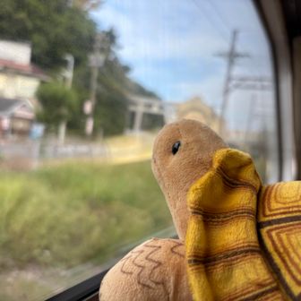 もつこ