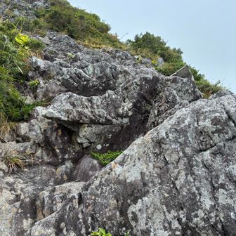 下りて来たとこを見上げる