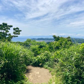 海🌊が見えるお山は好き✨️