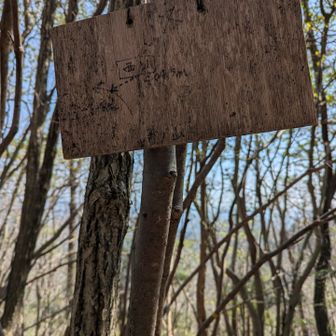 この看板に注意事項が書いてあるみたいです✨