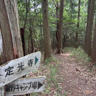 さー、ここからです！  ここに来たら毎度気になっていたこの先､､､  人間一人とぬいやなさん&リス2匹と進みます👨‍🦱🐿️🐿️