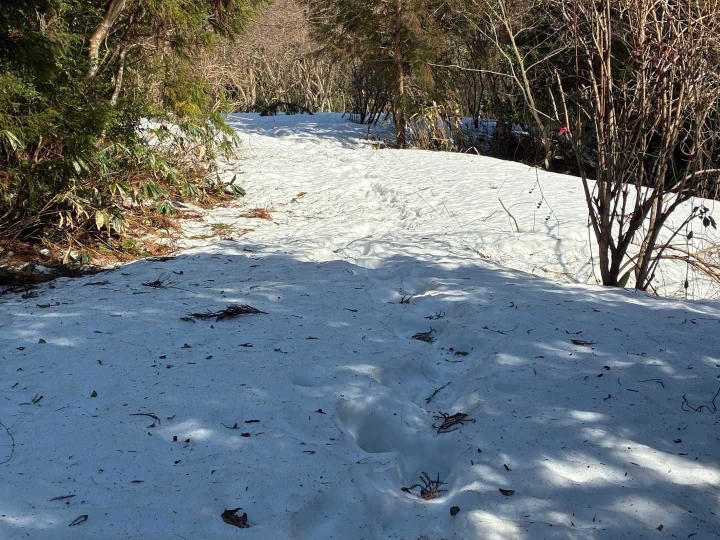 チェンスパの効果？
思いのほかさっと降りられました