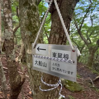 前セリ到着。ここから本番激登りルート😅