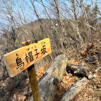 松ぼっくりのってます🎶