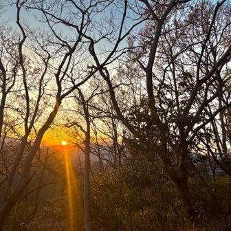 高崎山を「火祭り」舞台のように彩らせた赤い夕陽！
扇山火入れ式はすでに30分前。
