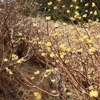不動尻
都留アルプスも
行ってみたいなぁ〜