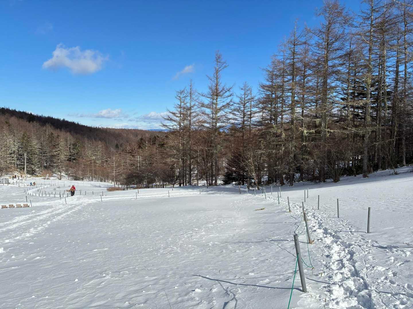 沢入登山口-入笠湿原-入笠山 往復コースの写真