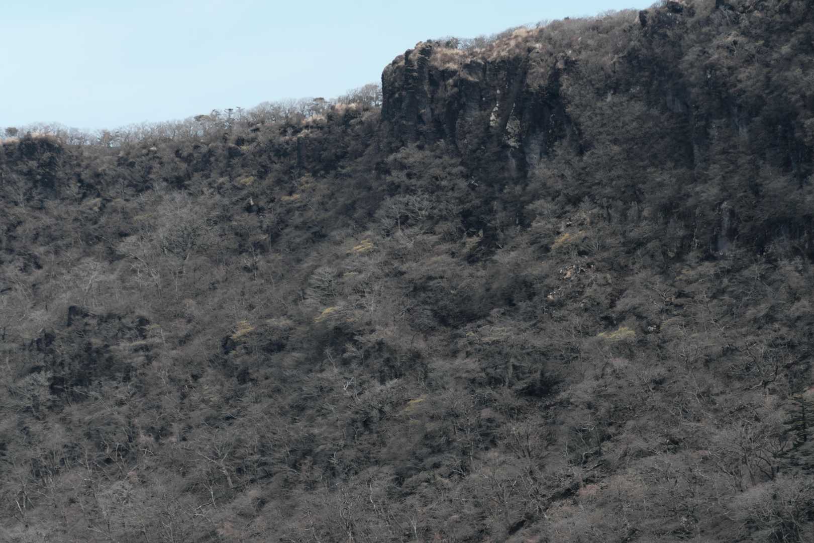 大浪池登山口-大浪池 往復コースの写真