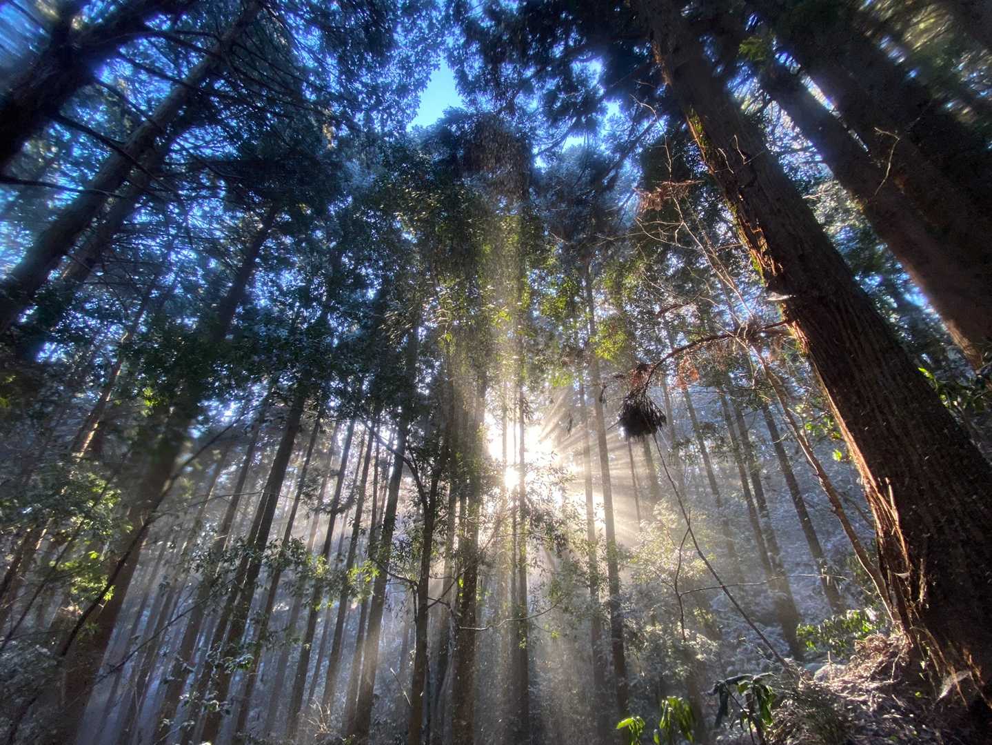 下滝バス停-滝富士登山道登山口-滝富士 往復コースの写真