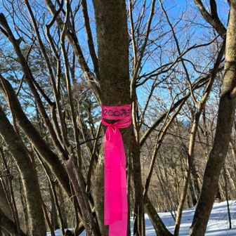 1200高地でユータン