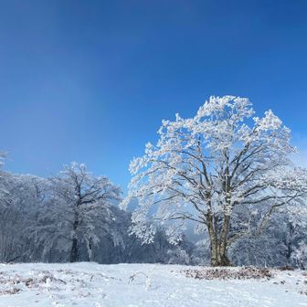 美しすぎる。
ここまで誰1人として会いません。
鹿一頭が横切っただけ。

絶景独り占め！