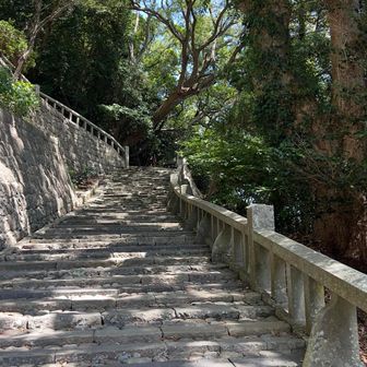 石段1159段を登ります！！