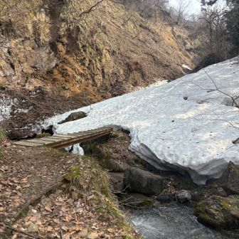 橋は生きてました。