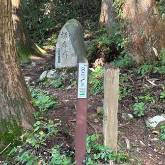 栃原峠まで戻りました。
ここから八乙女山エリアです。
