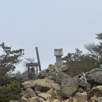 なんも見えません