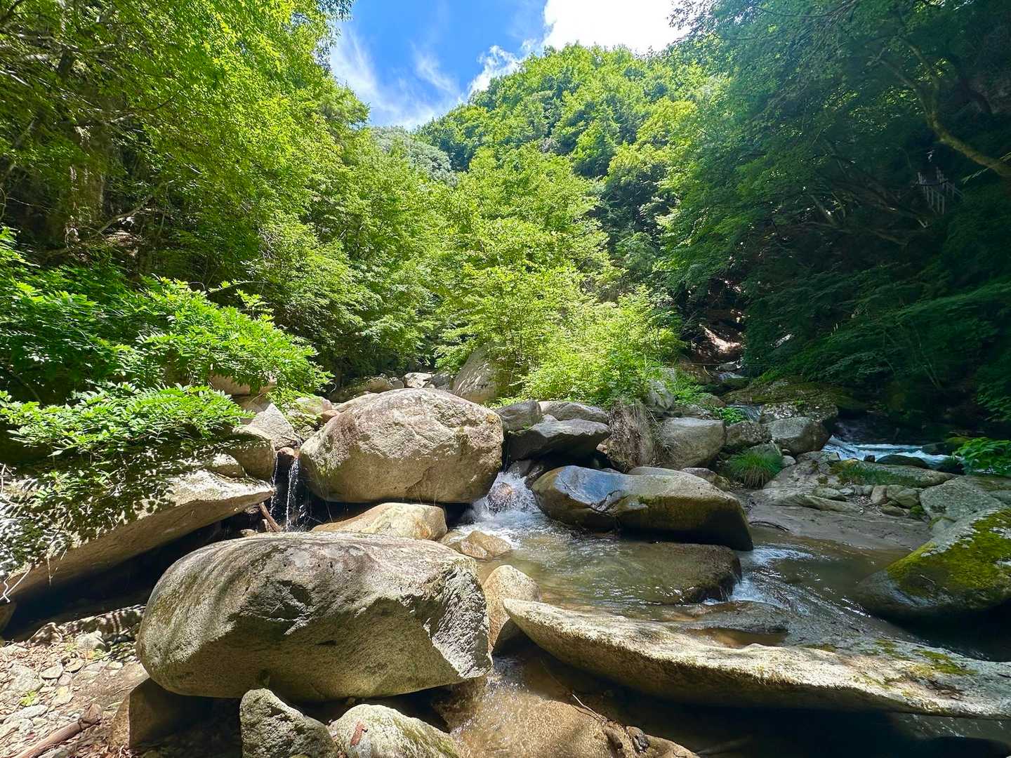 いいお天気☀️