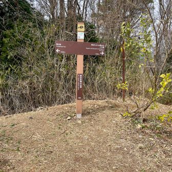 東お多福山頂⛰️
テーブルとイスもあった🙌