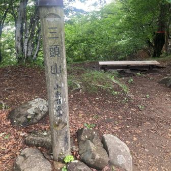 こっちが好きかも