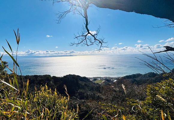 有度山（静岡・307m）| 登山ルート・天気 | YAMAP / ヤマップ